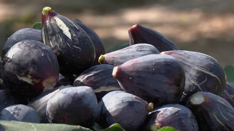 Beneficios del Higo: Te lo agradecer tu cuerpo (y tu paladar)