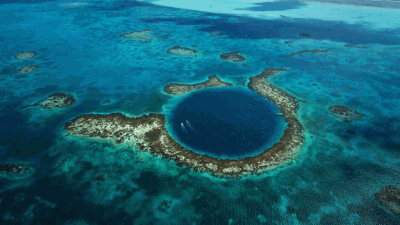Memoria de delfín - Abismo Challenger: cómo sobrevivir a 11.000 metros de profundidad - 29/01/18 - escuchar ahora