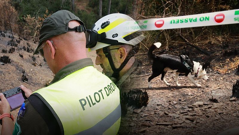 Els Agents Rurals perfeccionen la investigació d'incendis amb drons i gossos ensinistrats