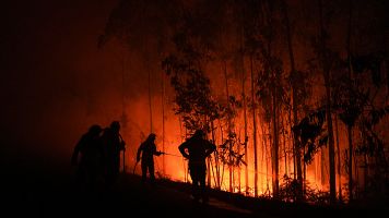Llamas del incendio que afecta al municipio ourensano de Vilardevs