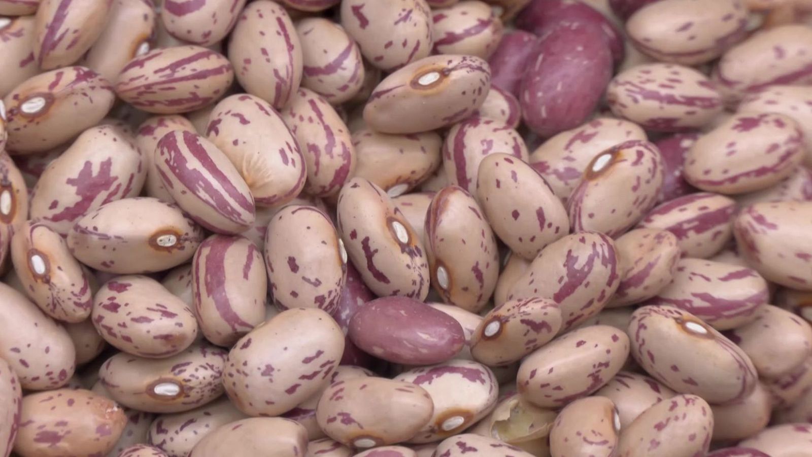 Legumbres Irresistibles, una receta que conquista el alma - Aquí la Tierra | Ver