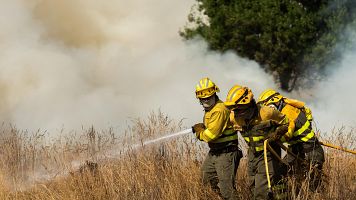 Los incendios en Espa�a superan en agosto todo lo quemado en 2024