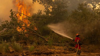 Un efectivo de la UME en A Espasa, durante el incendio forestal que permanece activo en Chandrexa de Queixa