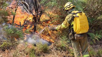 Un bombero trabaja en la extincin del incendio en las proximidades de La Alberca (Salamanca)