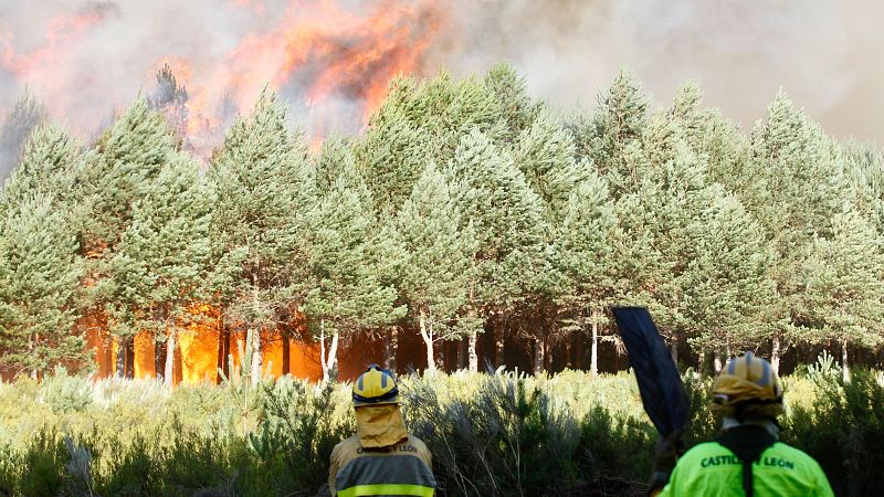 Jornadas maratonianas, falta de descanso y precariedad: bomberos forestales denuncian condiciones "abusivas"