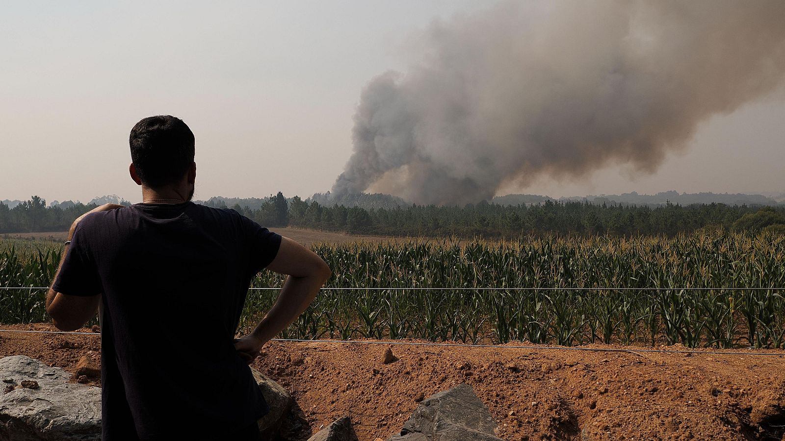 Sanciones de hasta 30.000 euros por incumplir órdenes de evacuación - Telediario 1 | Ver
