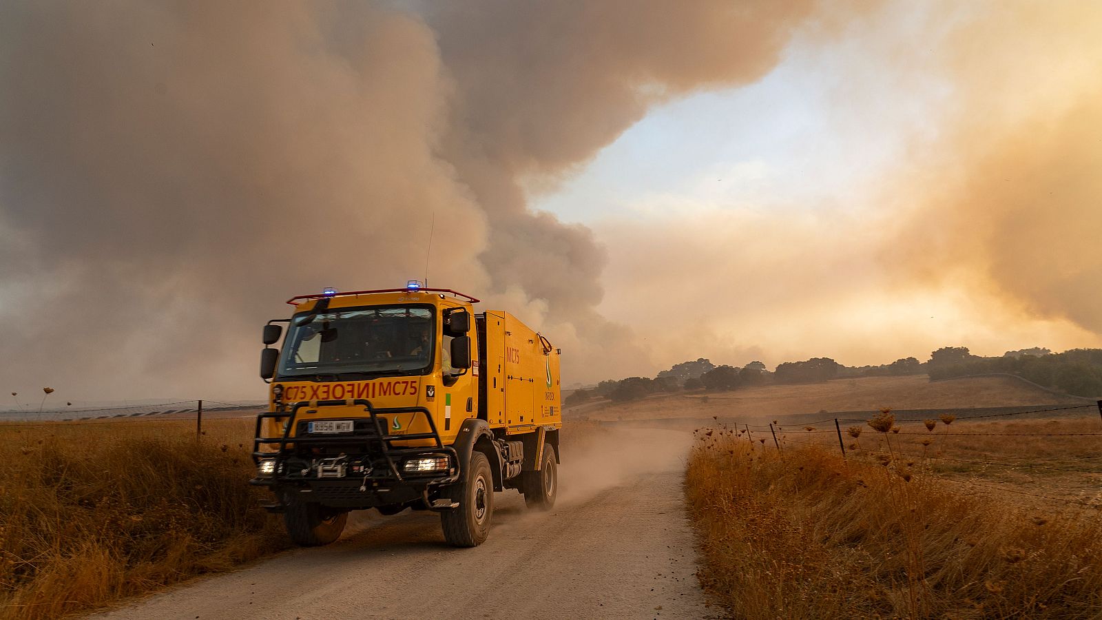 Detenidas 57 personas desde junio por los incendios en España | Ver