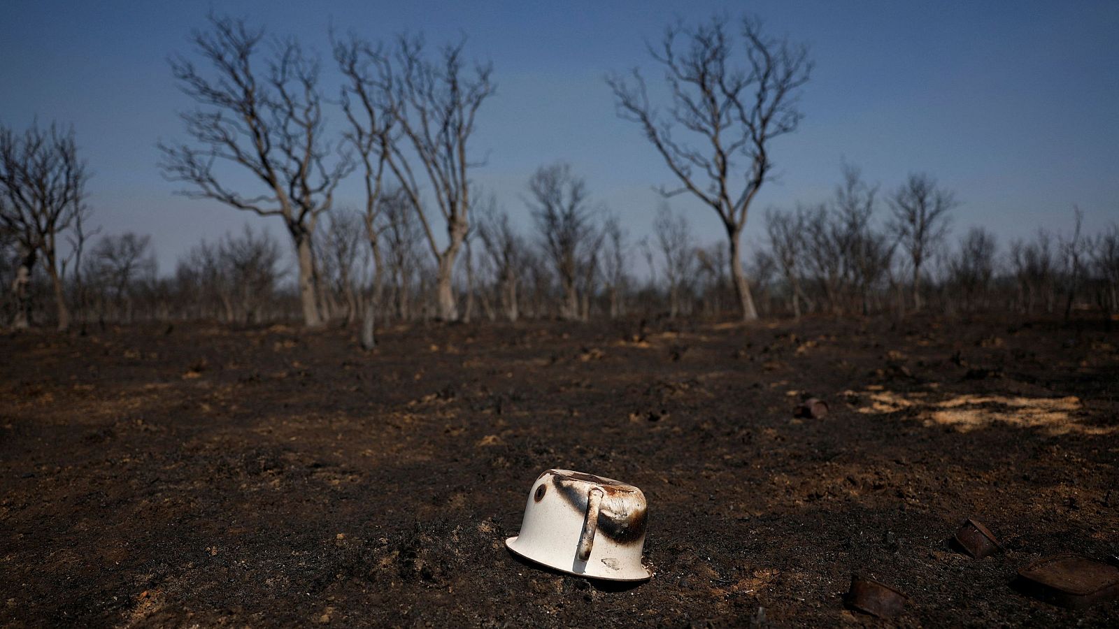 El rastro del fuego por el incendio en el Alto Sanabria | Ver