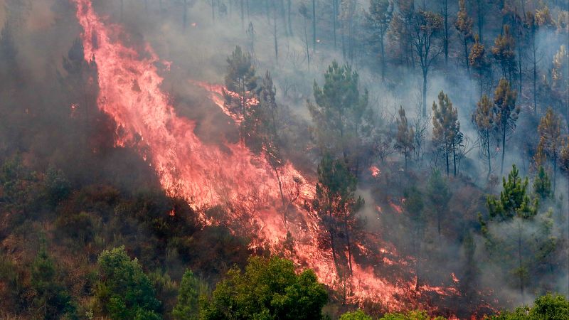 Los incendios "explosivos" que están fuera de control: capaces de cambiar las condiciones atmosféricas e imprevisibles