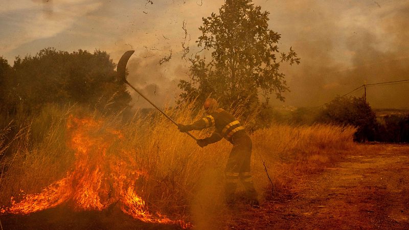 El cambio climático, un "acelerador" de incendios como los que arrasan España: "Es una nueva normalidad"