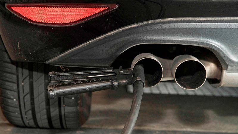 Volkswagen, BMW y Daimler sometieron a diez monos durante cuatro horas a respirar gases diésel, según un informe