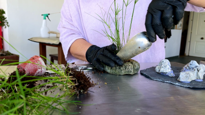 Un kusamono no �s nom�s la millor companyia d?un bonsai