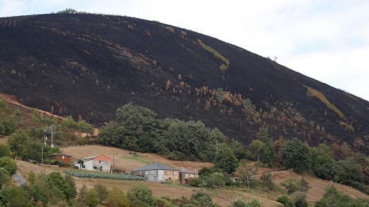 Estabilizado el incendio en Almera; otros seis siguen activos en Castilla y Len