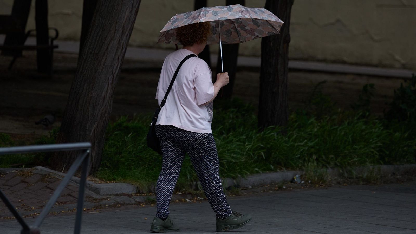 El tiempo matinal - 01/09/2025 - El tiempo | Ver