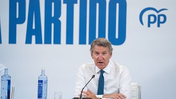 El presidente del PP, Alberto Nez Feijo, en una reunin del partido