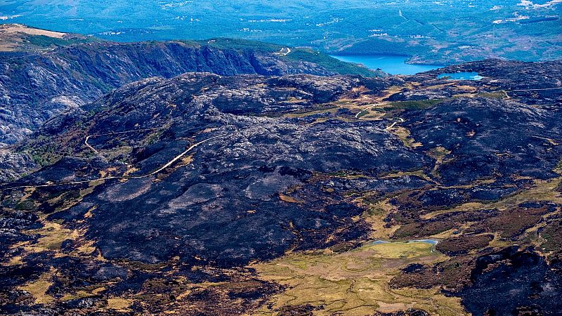 El suelo caliente y el olor a quemado: los expertos recorren el monte y reflexionan sobre qué hacer después del fuego