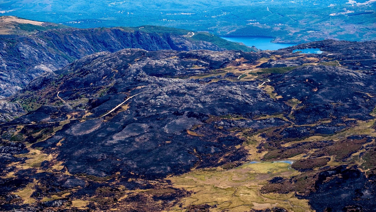 Después del fuego: ¿cómo mejorar la gestión de incendios forestales en España? - Telediario 2 | Ver