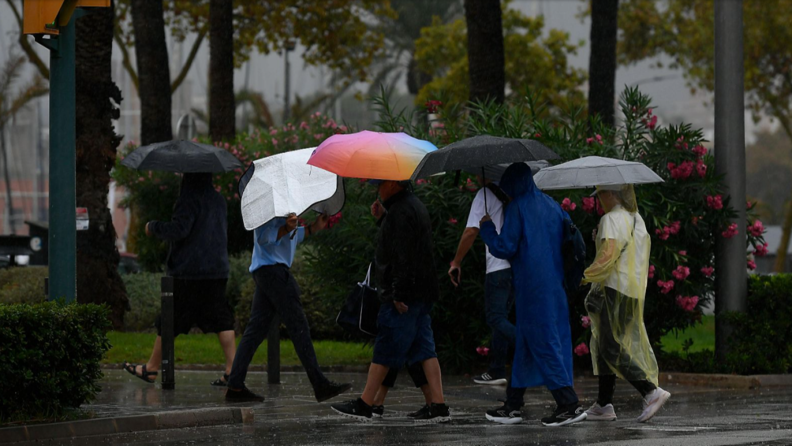 El tiempo matinal - 10/09/2025 - El tiempo | Ver