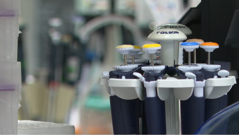 Un análisis permite anticipar la progresión del cáncer desde su nacimiento al fijarse en las huellas que deja en los genes