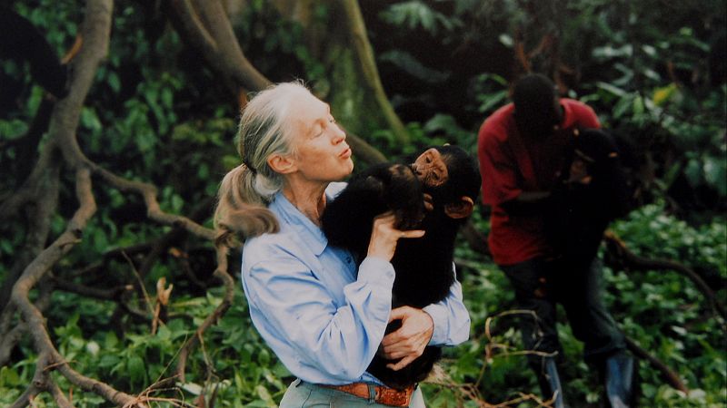 Muere Jane Goodall.