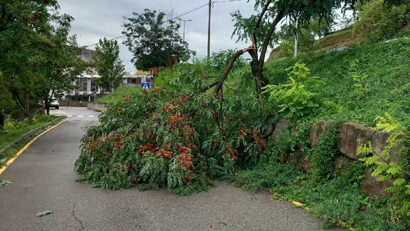 Fortes pedregades amb rècord d'intensitat de pluja