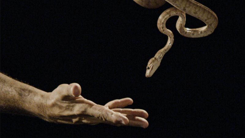 'Metrpolis' estrena nueva temporada en La 2 con un homenaje a Robert Wilson