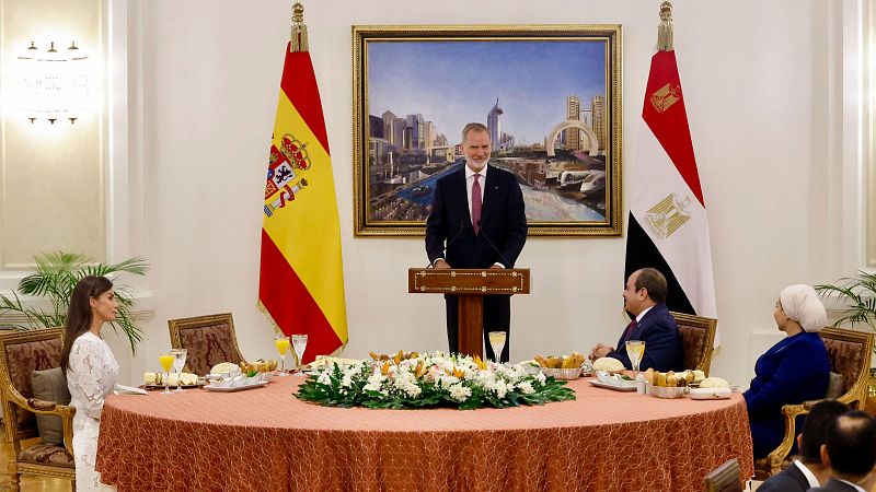 De la calle a la Zarzuela: el rey condena la masacre en Gaza y defiende "un Estado palestino viable"