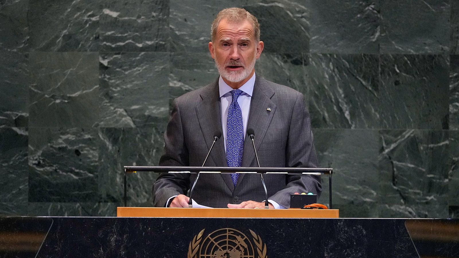 El rey asegura ante la ONU que cuesta "comprender" las acciones de Israel en Gaza - Informativo 24h | Ver