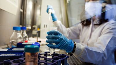 El cáncer hereditario, desde el laboratorio del CNIO: la ayuda a futuros pacientes a través del "árbol genealógico"