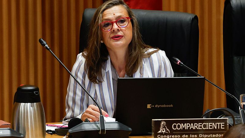 La delegada del Gobierno contra la Violencia de Género: "Las pulseras salvan vidas todos los días"