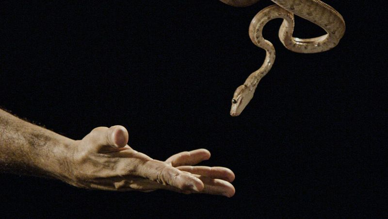 El cine activista de ensueo de Jonathas de Andrade, en Metrpolis