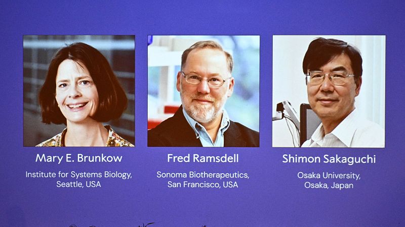 Nobel de Medicina para Brunkow, Ramsdell y Sakaguchi por descubrir las células que controlan al sistema inmunitario