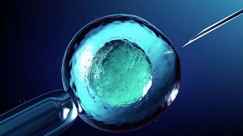 Científicos logran por primera vez desarrollar óvulos humanos en laboratorio