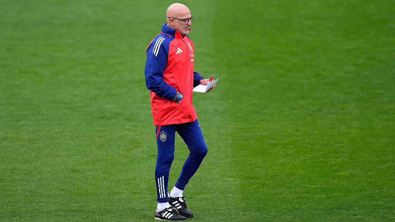 De la Fuente insiste en que Ferran Torres no está lesionado | Ver