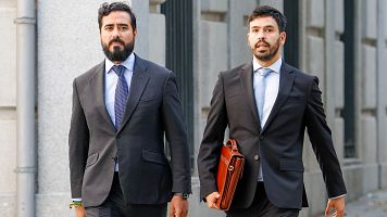 El eurodiputado Luis Prez Fernndez (i), conocido como Alvise
