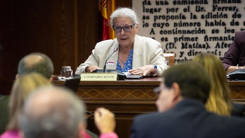 La empresaria que dijo haber entregado 90.000 euros en metálico en Ferraz lo ratifica en el Senado pero sin declarar