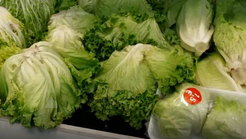¿Por qué es la lechuga romana la más beneficiosa de todas para nuestra salud?