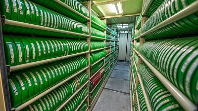 RTVE celebra el Da Mundial del patrimonio audiovisual