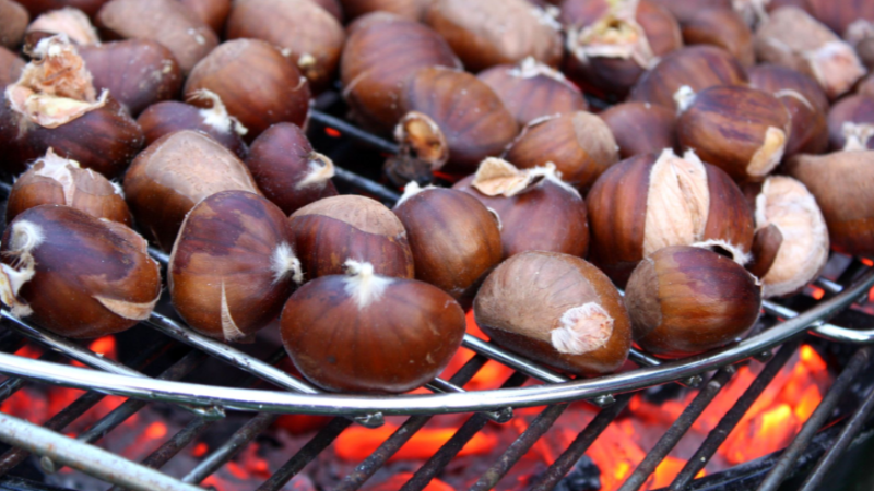 Les parades de castanyes desafien el canvi climàtic
