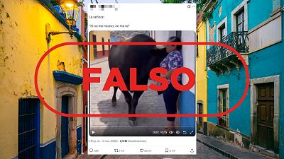 Cinco consejos para no caer en vdeos generados con IA como este de un toro acorralando a una mujer