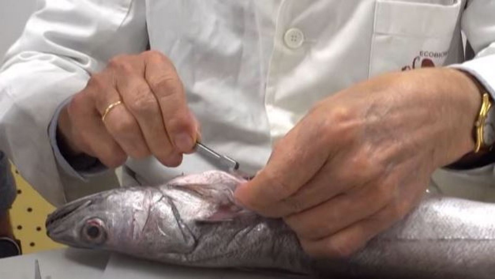 Alerta de anisakis en el pescado que consumimos - Directo al grano | Ver