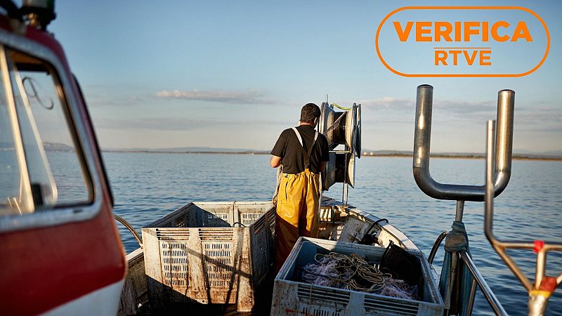 Los pescadores recreativos debern registrar sus capturas a partir de 2026: qu habr que declarar?