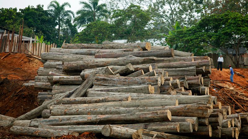La deforestación de la Amazonia se acerca a su punto de no retorno