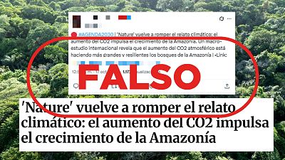 Esta investigacin sobre los rboles de la Amazona no cuestiona el cambio climtico, es falso