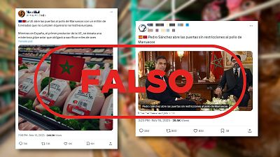 Gripe aviar: la UE no abre la puerta al pollo de Marruecos "sin restricciones", es falso