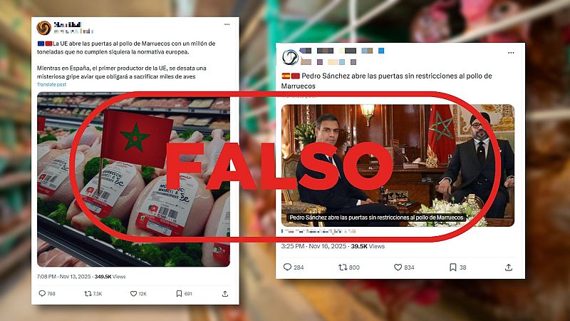 Gripe aviar: la UE no abre la puerta al pollo de Marruecos "sin restricciones", es falso