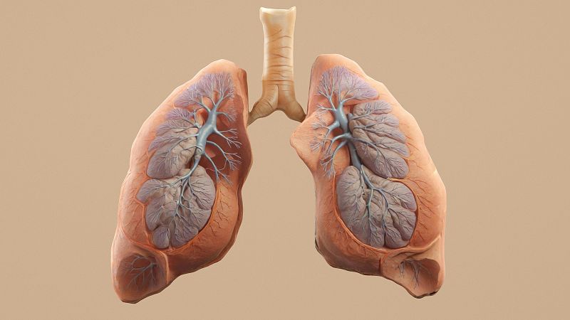 Augment del cncer de pulm en dones: per primera vegada la mortalitat supera al de mama