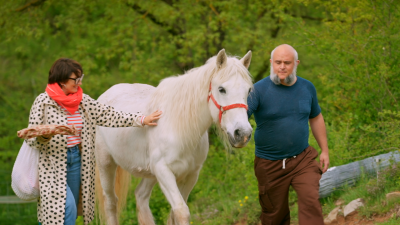 Les recomanacions del cap de setmana de La 2Cat