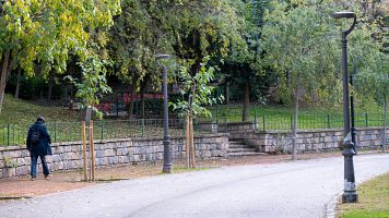 La Polica investiga la muerte de dos jvenes en un parque de Jan