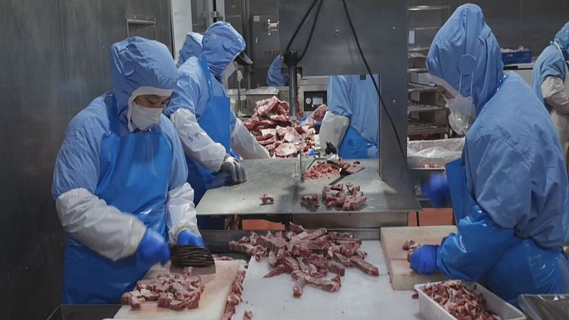 3.000 milions en joc a Catalunya per la pesta porcina